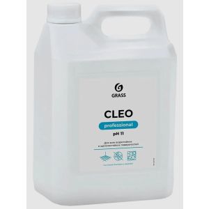 CLEO, универсальное моющее средство.